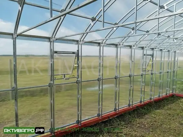 Теплица Ударница Благодатная, ширина 4/5 м, труба 40х20 + 20х20 Теплица Ударница Благодатная, ширина 4/5 м, труба 40х20 + 20х20
