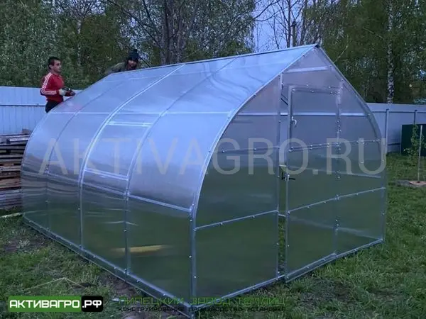 Теплица Ударница Урожайная Теплица Ударница Урожайная