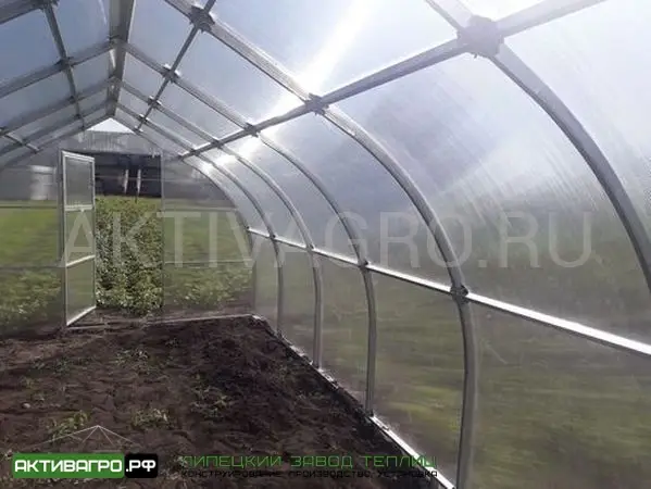 Теплица Ударница Урожайная Теплица Ударница Урожайная