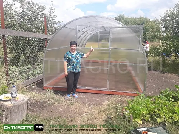 Теплица Ударница Царицынская, ширина 2.5/3 м, труба 40х20 мм Теплица Ударница Царицынская, ширина 2.5/3 м, труба 40х20 мм